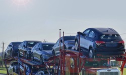 Common Mistakes To Avoid In Import Export Container Booking
