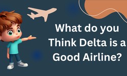 Why Delta Airlines is Undoubtedly a Good Airline Choice