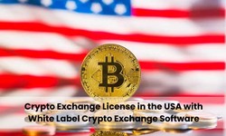 How to Obtain a Cryptocurrency Exchange License in the USA with White Label Crypto Exchange Software