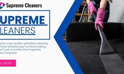 Understanding Carpet Fibers: Tailoring Your Cleaning Techniques