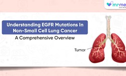 Understanding EGFR Mutations in Non-Small Cell Lung Cancer: A Comprehensive Overview