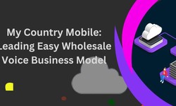 My Country Mobile: Leading Easy Wholesale Voice Business Model