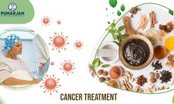A Comprehensive Guide to Modern Cancer Treatment