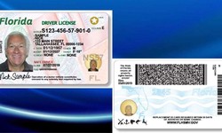 How can I Get Florida ID card, and what are necessary steps to follow