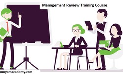 A Brief Overview of Management Reviews for ISO Systems