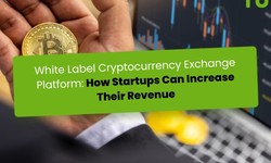White Label Cryptocurrency Exchange Platform: How Startups Can Increase Their Revenue