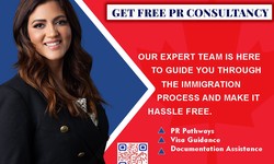Expert Guidance for Canadian Dreams: Mohali's Immigration Consultants