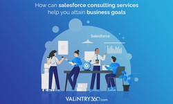 Unleash the Power of Salesforce with the Best Consultants in the USA - VALiNTRY360