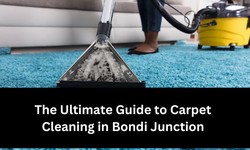 The Ultimate Guide to Carpet Cleaning in Bondi Junction: Expert Tips for a Spotless Home