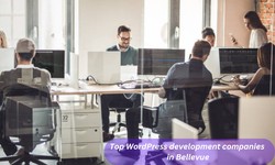 Top WordPress development companies in Bellevue
