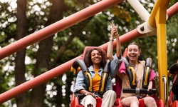 A Perfect Family Vacation in California: Top 7 Theme Parks to Explore