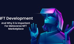 NFT Development And Why it is Important For Metaverse NFT Marketplace