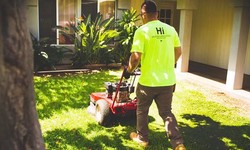 How Hawaii's Unique Environment Influences Landscaping