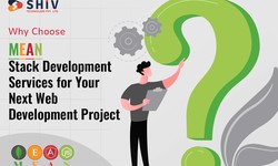 Why Choose MEAN Stack Development Services for Your Next Web Development Project