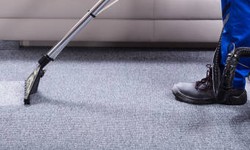 The Science Behind Effective Carpet Cleaning in Fort Myers