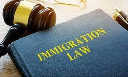 Choosing the Right Immigration Lawyers in the UK: Tips for Success