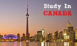 Reasons why you should choose Canada for to study abroad