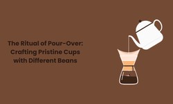 The Ritual of Pour-Over: Crafting Pristine Cups with Different Beans
