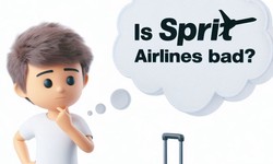 "Why Is Spirit Airlines So Bad? Unpacking the Perceptions"