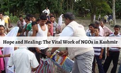 Hope and Healing: The Vital Work of NGOs in Kashmir