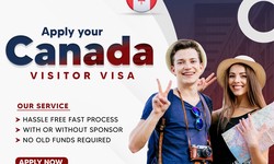 Mohali's Leading Immigration Consultants for Canada Opportunities