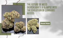 The Future of Weed Dispensaries: A Glimpse into the Evolution of Cannabis Access