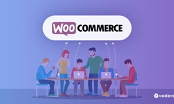 Boost Your WooCommerce Site with Recently Purchased Products Plugin