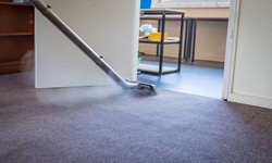 5 Effective Reasons Why Steam Cleaning Is Best for Carpets