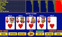 Video Poker: Cracking the Machine Code