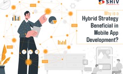 Why is a Hybrid Strategy Beneficial in Mobile App Development?