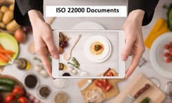 What Resources are Required to Put an ISO 22000 Food Safety Management System into Practice?