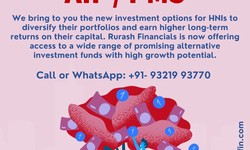 Portfolio Management Services Minimum Investment | Rurash Financials