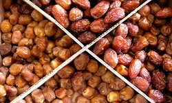 10 Tips to Find the Best Medjool Dates Online for Your Households