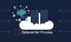 Datacenter Proxies: An Essential Tool for Online Privacy