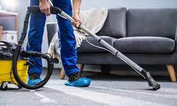 Why Professional Carpet Cleaning is Essential for Your Melbourne Home