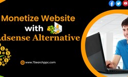 Monetize Website with Adsense Alternative - Earn Money Online