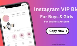 Instagram VIP Bio for Boys & Girls