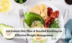 500 Calorie Diet Plan: A Detailed Roadmap to Effective Weight Management