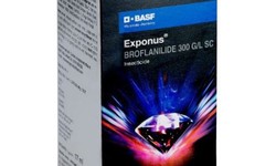 AgroOrbit Is The Best Place To Buy BASF Exponus Online