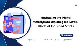 Navigating the Digital Marketplace: Exploring the Diverse World of Classified Scripts