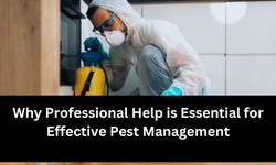 Pest Control Melbourne: Why Professional Help is Essential for Effective Pest Management