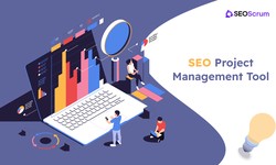 Introducing SEOScrum: Redefining SEO Team Management Tool Excellence!