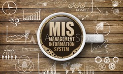 Tips for Evaluating and Updating Your Management Information System