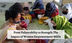 From Vulnerability to Strength: The Impact of Women Empowerment NGOs