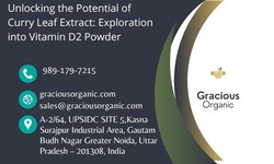 Unlocking the Potential of Curry Leaf Extract: Exploration into Vitamin D2 Powder