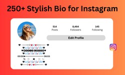 Stylish Bio For Instagram