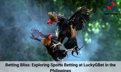 Thrilling Action: Betting on Cockfighting at LuckyGBet