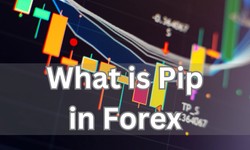 What is Pip in Forex