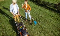 How To Revitalize Your Outdoor Space With Affordable Yard Cleaning Services?