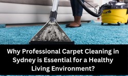 Why Professional Carpet Cleaning in Sydney is Essential for a Healthy Living Environment?